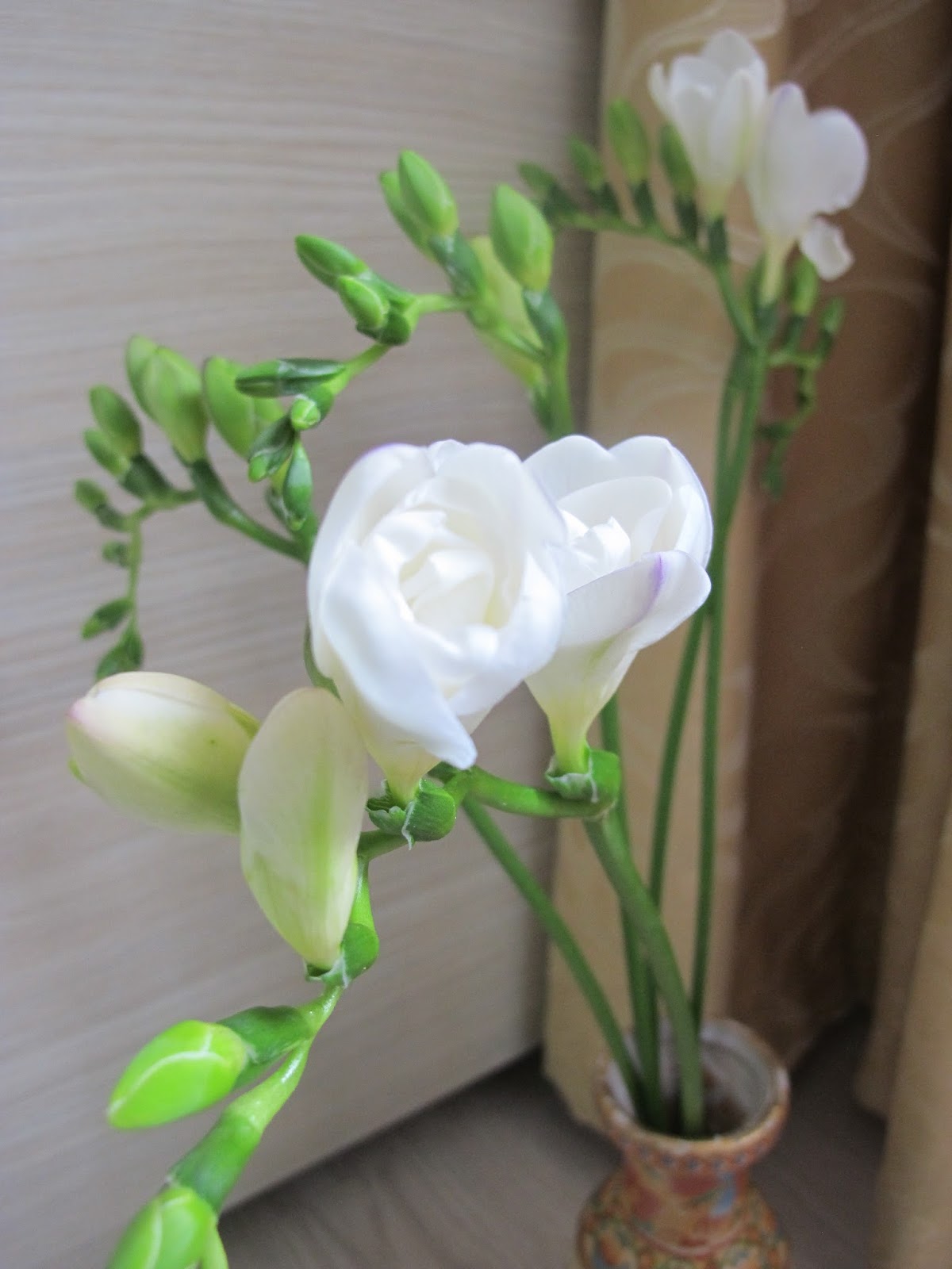 Cele Mai Frumoase Flori Slalom Printre Cuvinte