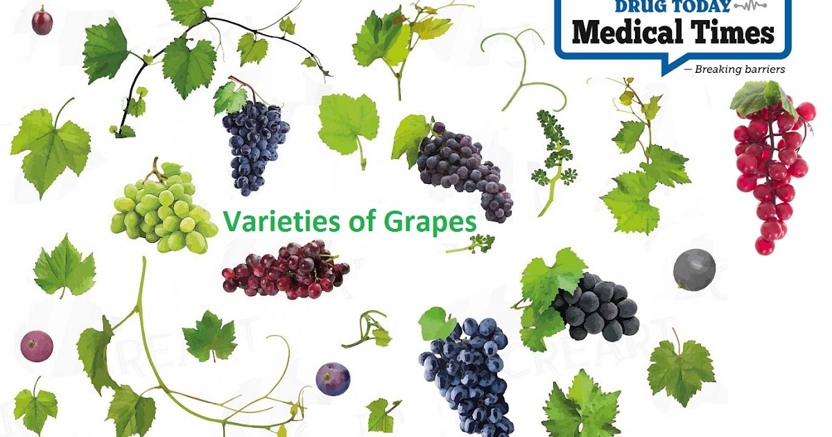 Drug Today Medical Times What are the amazing benefits of grapes for