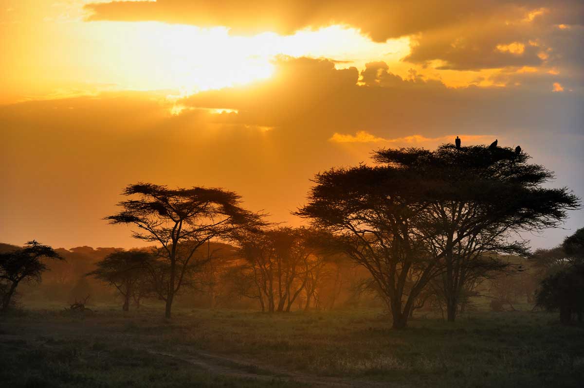 Africa moments in kenya