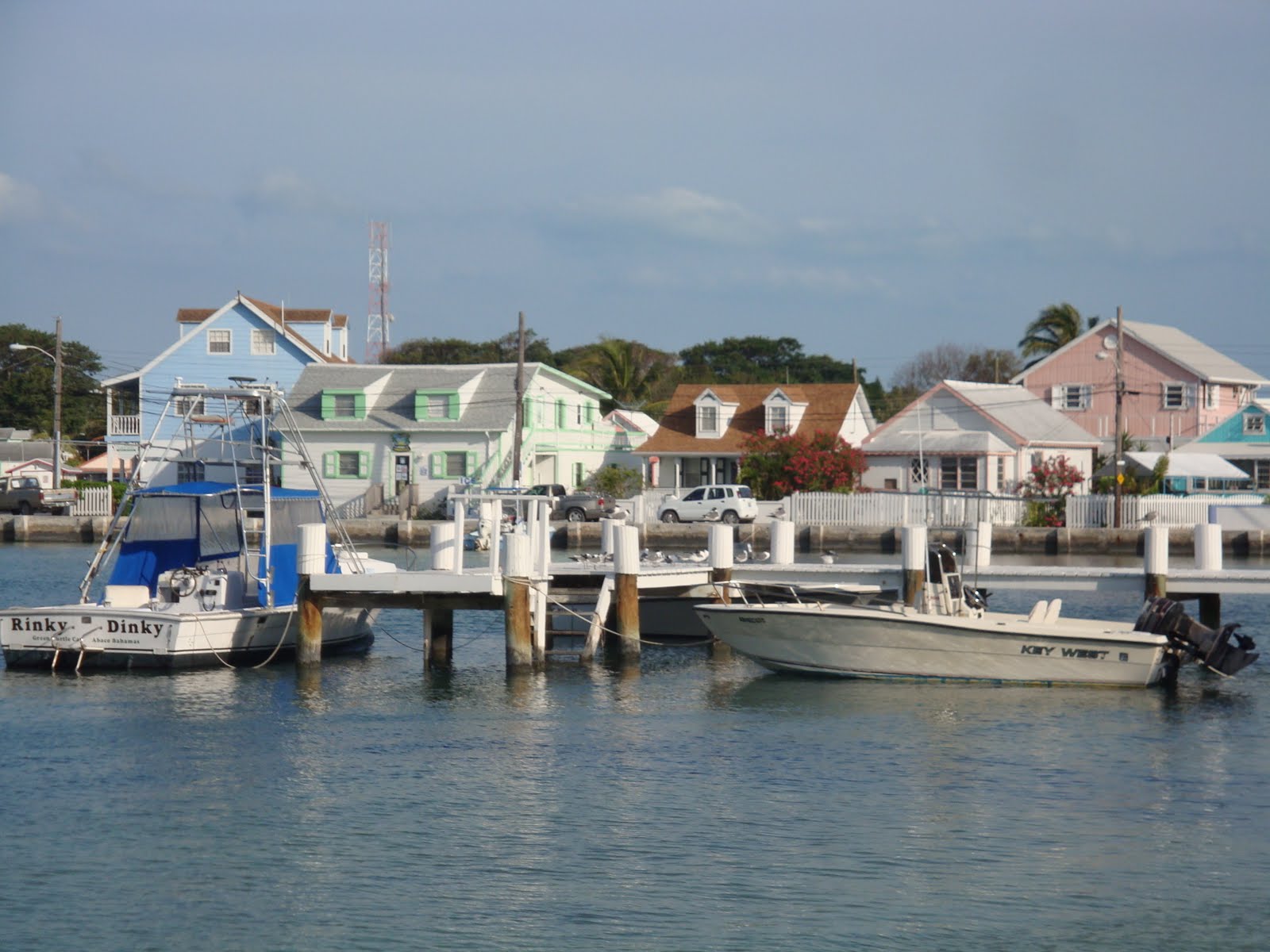 Jungle Jim, Green Turtle Cay
