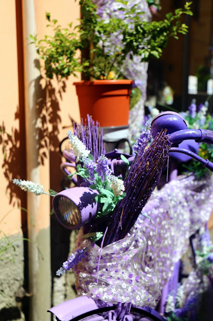 Sukercuppie Sudweide Pages Directory