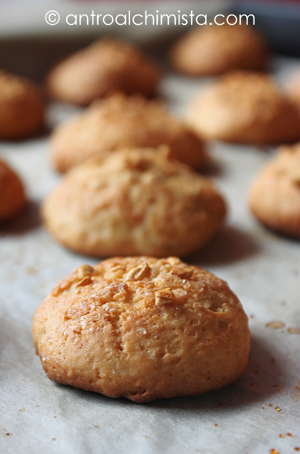 L'Antro dell'Alchimista Biscotti di Farro e Yogurt