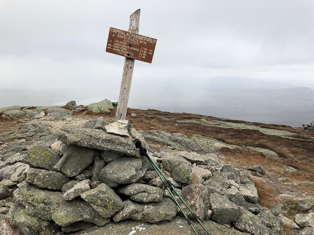 Au sommet du Saddleback