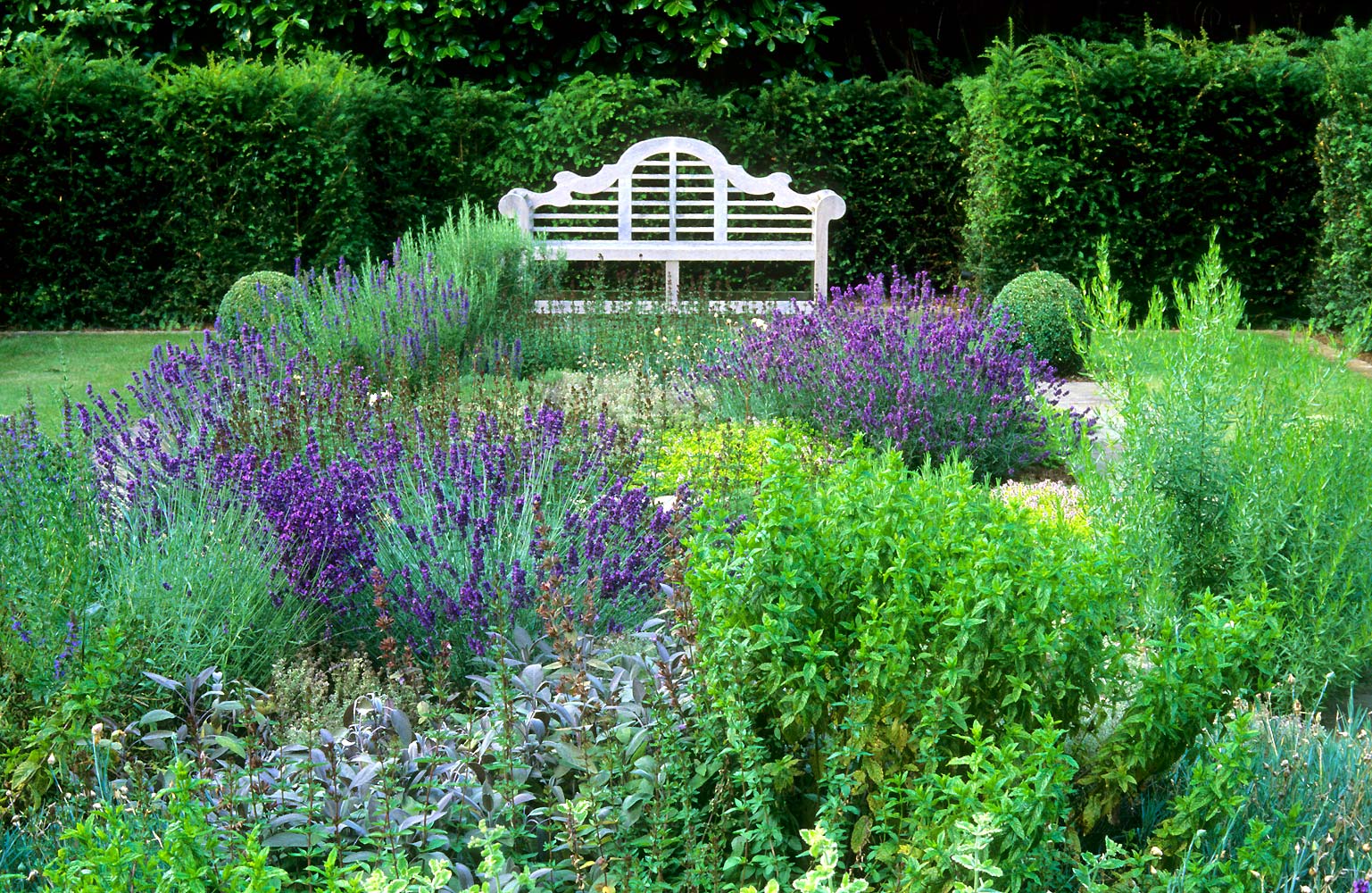 IN LOVE WITH BEAUTY: Julie Toll Landscape & Garden Design