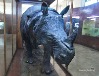 museum zoologi bogor