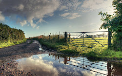 nature road fence wallpapers muddy 3d landscape reflection desktop background near resolution backgrounds px screen
