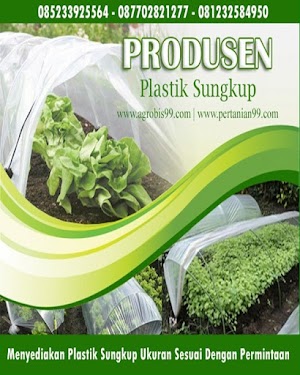 Plastik Sungkup Plastik Sungkup
