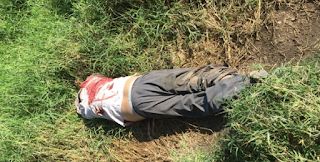 Hallan cadáver de taxista con signos de violencia en El Castillo Veracruz