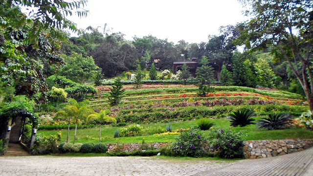 Terrazas de Flores Cebu Botanical Garden