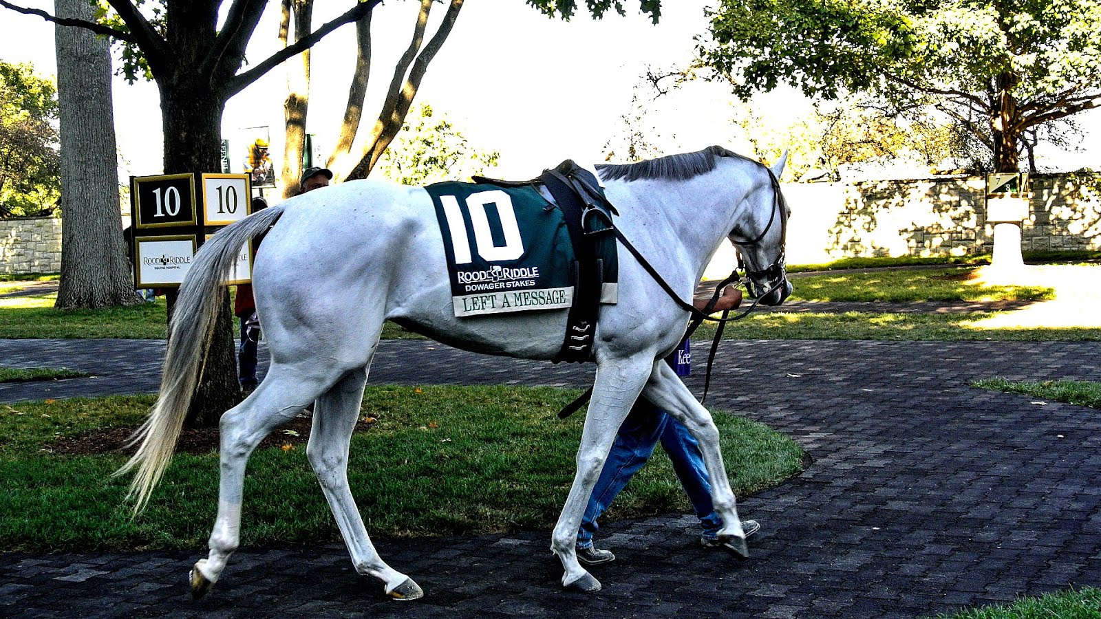 White horse (mythology) Grey Grey Choices