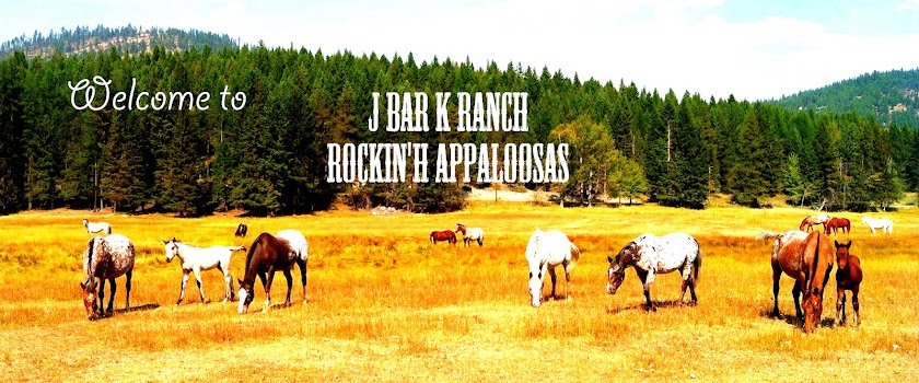 Welcome to J bar K Horse Ranch Rockin' H Appaloosas