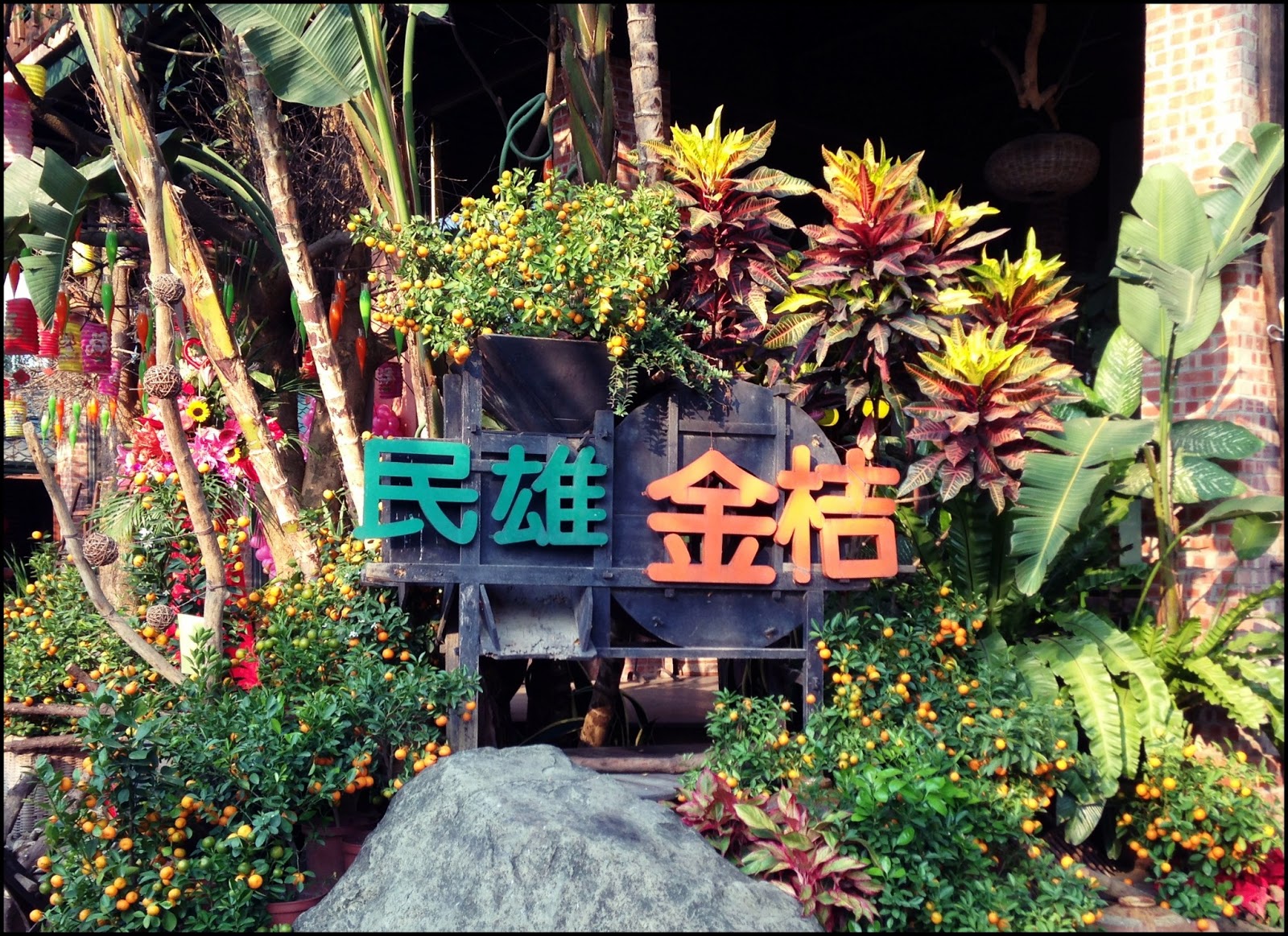 Embrace Taiwan Eat. Discover. Record. Minxiong Kumquat Farm