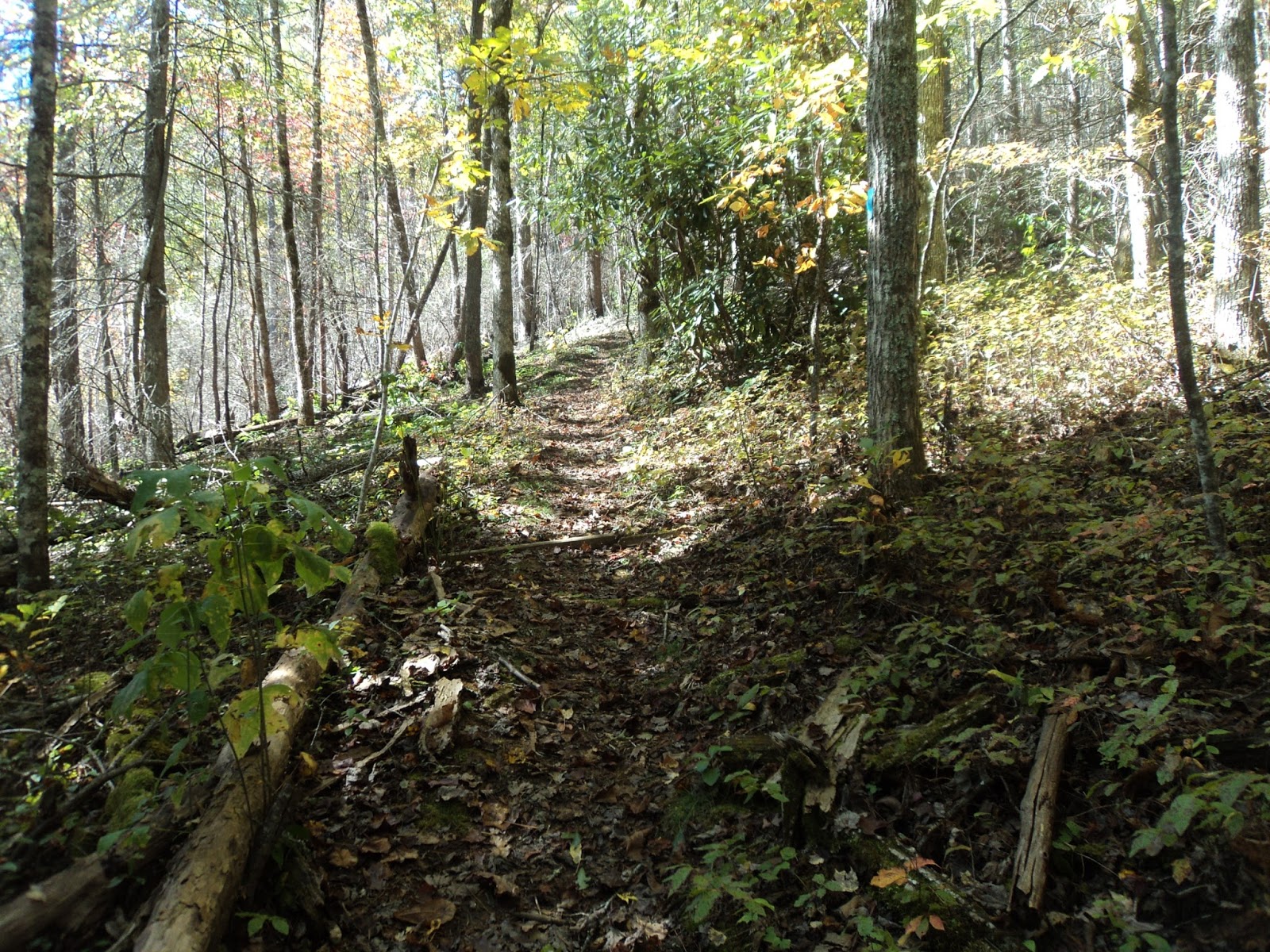Parking Full Time Hiking Trail Journal Nantahala National Forest