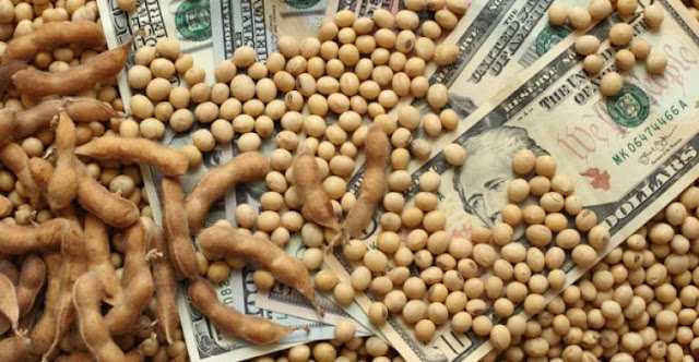 Argentina’s export trade Argentina’s export trade