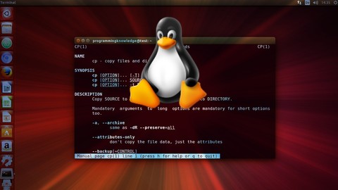 Automate Your Task With Shell Scripting and Linux Commands