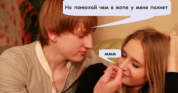 мемы про костю смешные. довольный кот. собака сепаратист. понюхай киса носиком. кошка нюхает ноги.