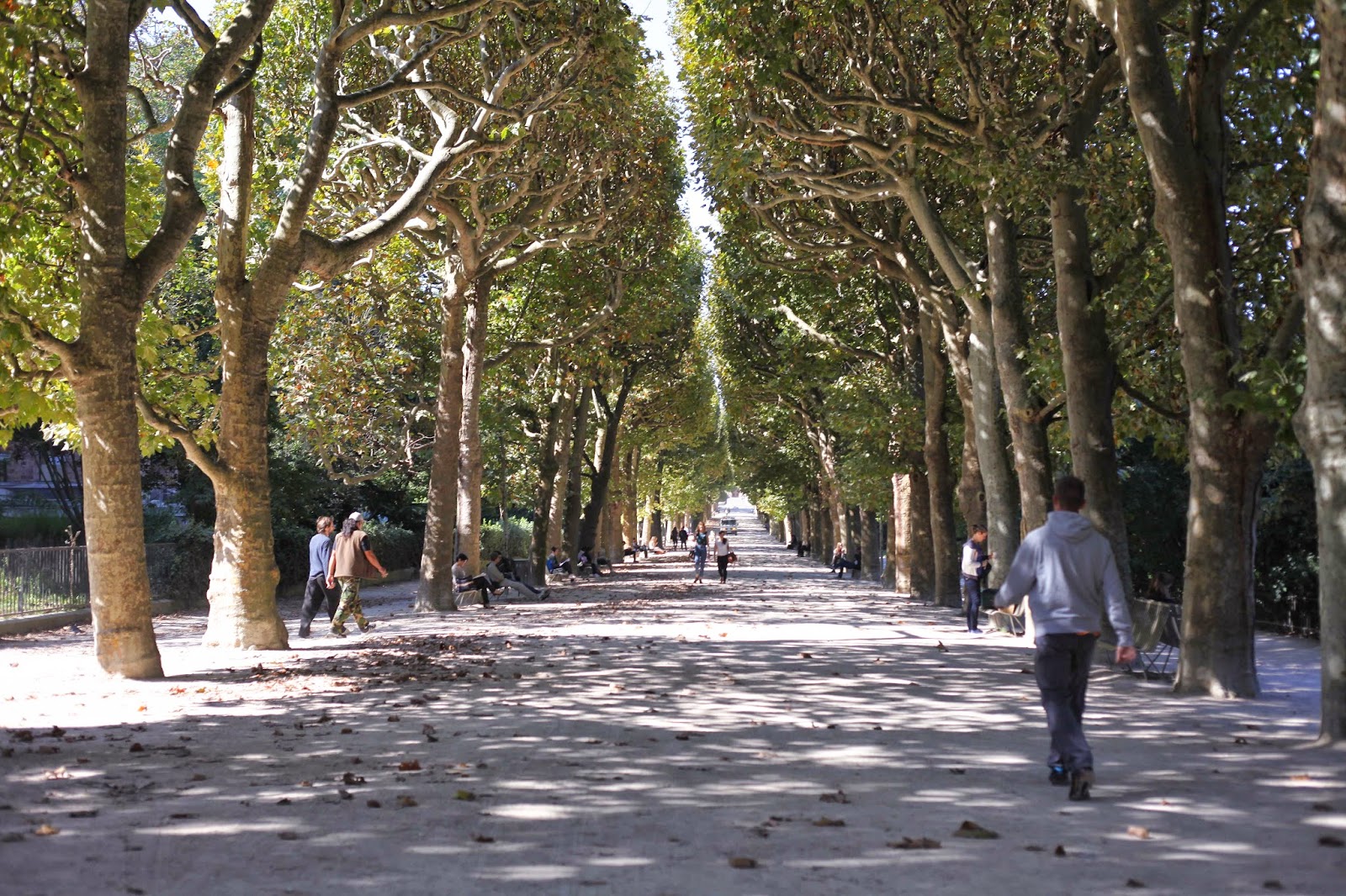 Parisian park