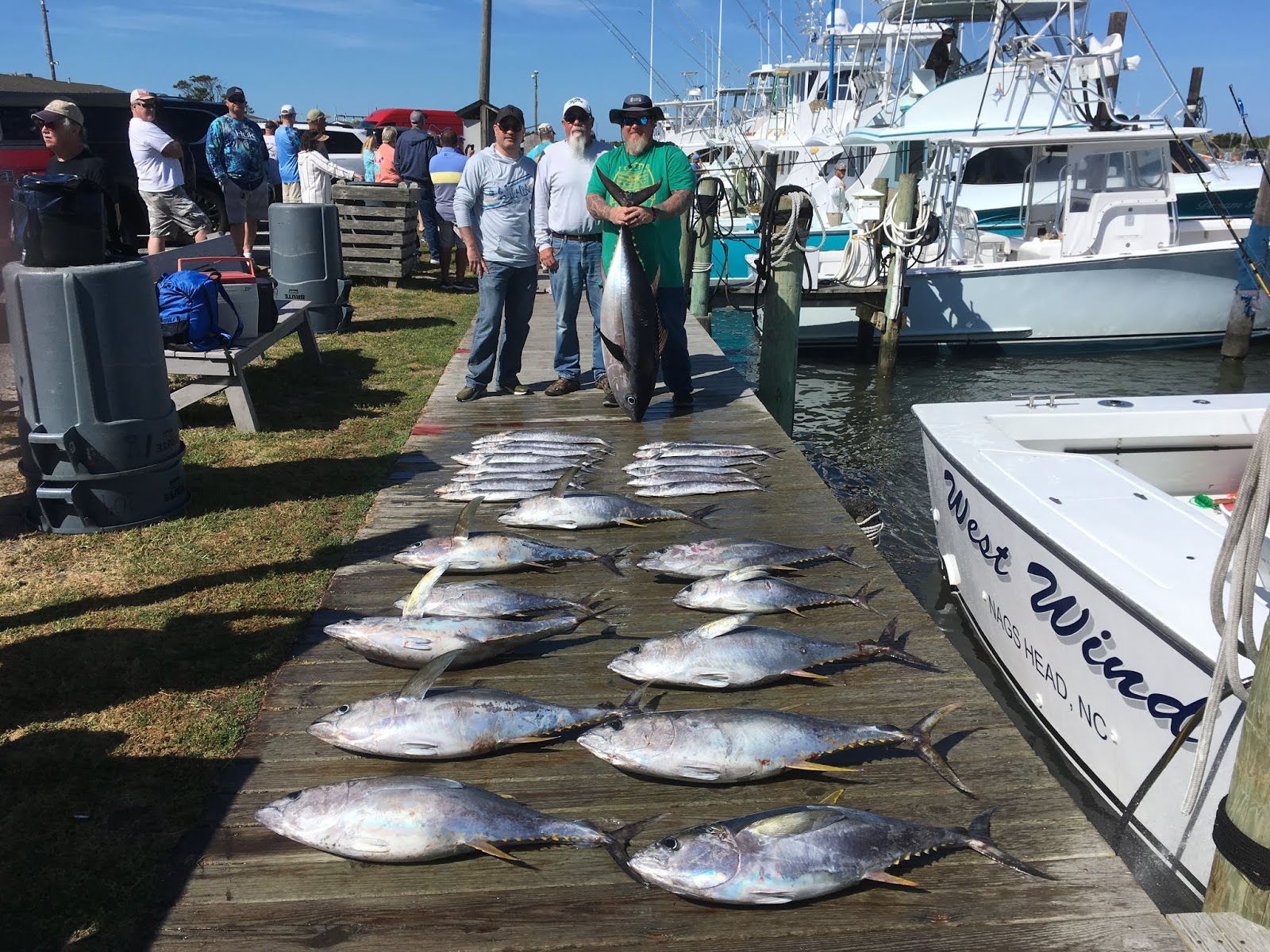 Outer Banks Fishing Charter Bigeye Tuna, Yellowfins Tuna, King Mackerel