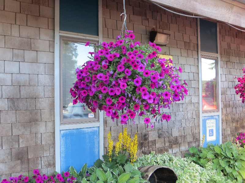 Alaska 2013 Alaska Day 4849 Soldotna