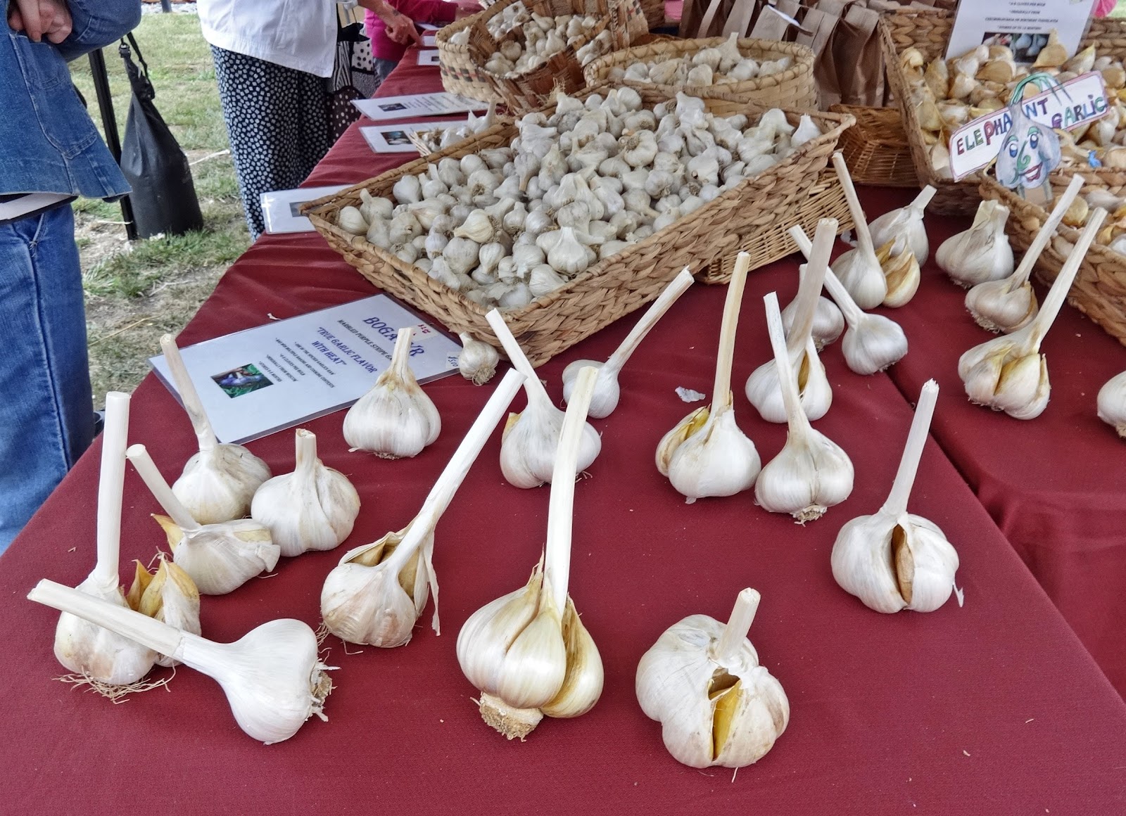 Jax Stumpes Cleveland Garlic Festival (9/12/2015)