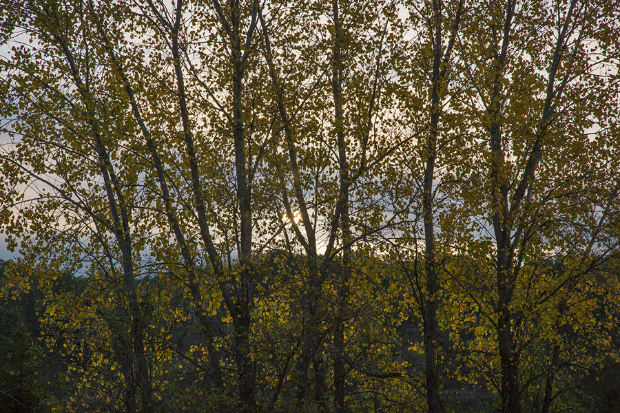 The concept of wilderness quizlet picture