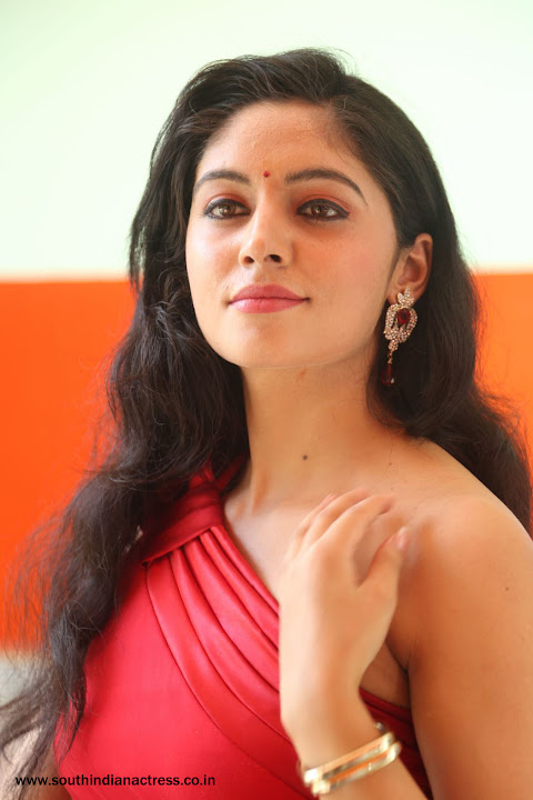 Zahida Sam photoshoot at Badragiri Movie Launch