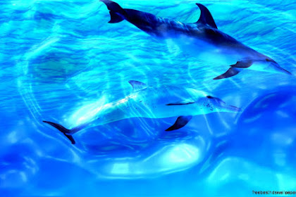 Live Desktop Wallpaper Windows 7 Live wallpaper