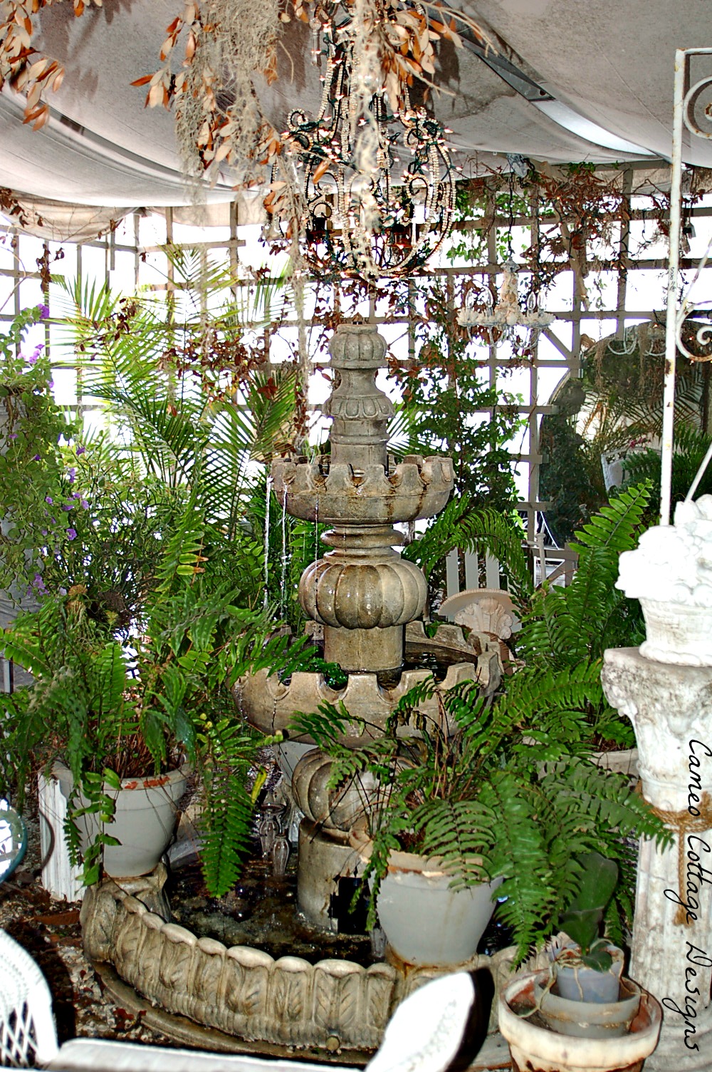 Cameo Cottage Designs Posh On Palm In Venice Florida A Special