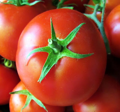 manfaat kandungan nutrisi pada buah tomat