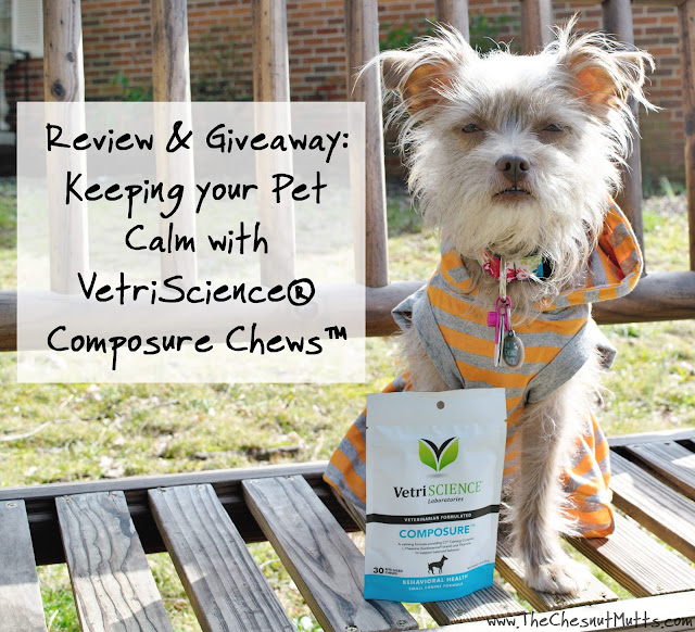 Review & Giveaway: Keeping your Pet Calm with VetriScience® Composure Chews™
