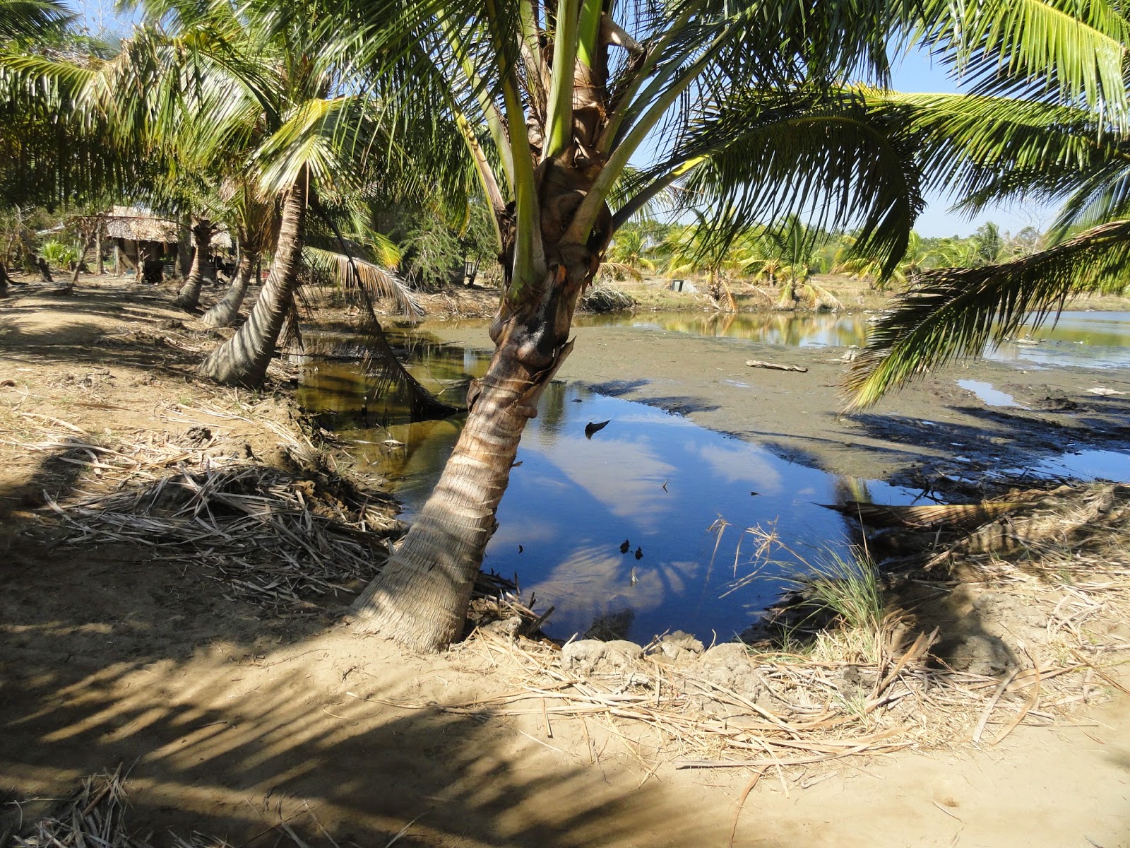 Zamboanga del Sur Properties FOR SALE 13 HECTARES FISHPOND AT TUKURAN