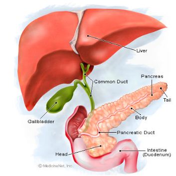 Setelah Makanan Memasuki Usus 12 Jari Pankreas Akan Melepaskan Natrium Bikarbonat Nahco3 Sehingga Terjadi Peristiwa Blog Pak Pandani