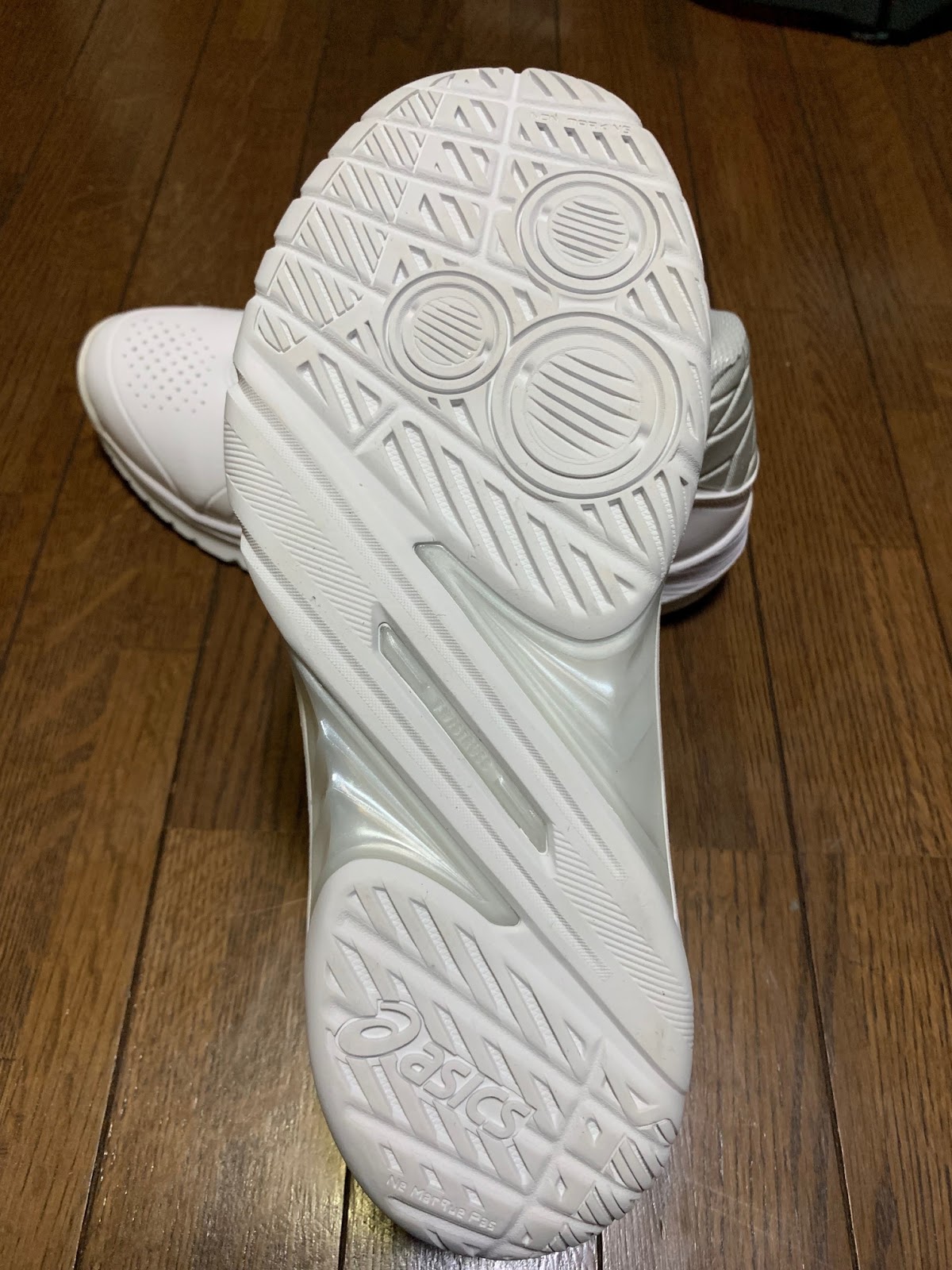 fila disruptor camel