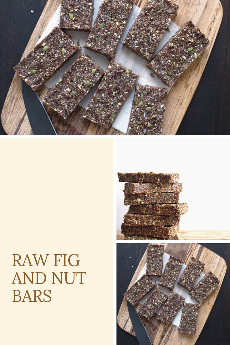 Raw Fig and Nut Bars Recipes My Era