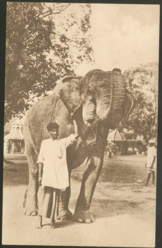 Elephant with Trainer (Mahout)