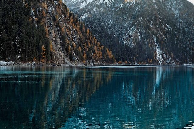 نقره لعرض الصورة في صفحة مستقلة