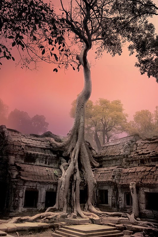 Angkor Wat, Cambodia | 10 Places to See Beautiful Sunset Around The World Angkor Wat, Cambodia | 10 Places to See Beautiful Sunset Around The World