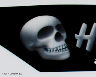 skull bones beach cruiser