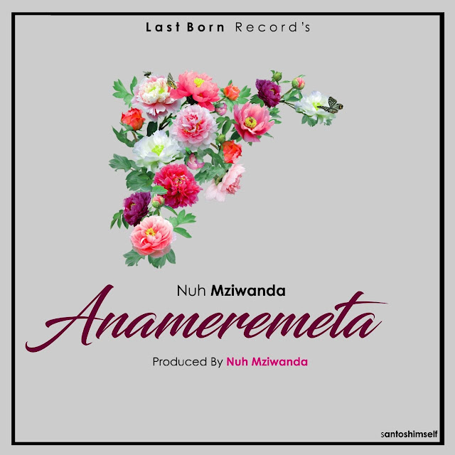 AUDIO | Nuh Mziwanda - Anameremeta | Download