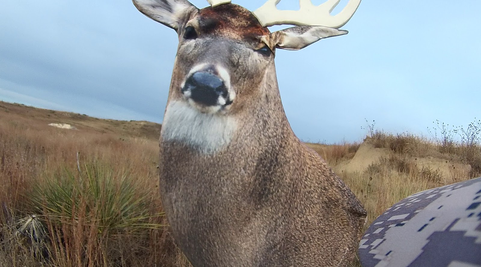 Heads Up Decoy Four In a Row with a Deer Decoy
