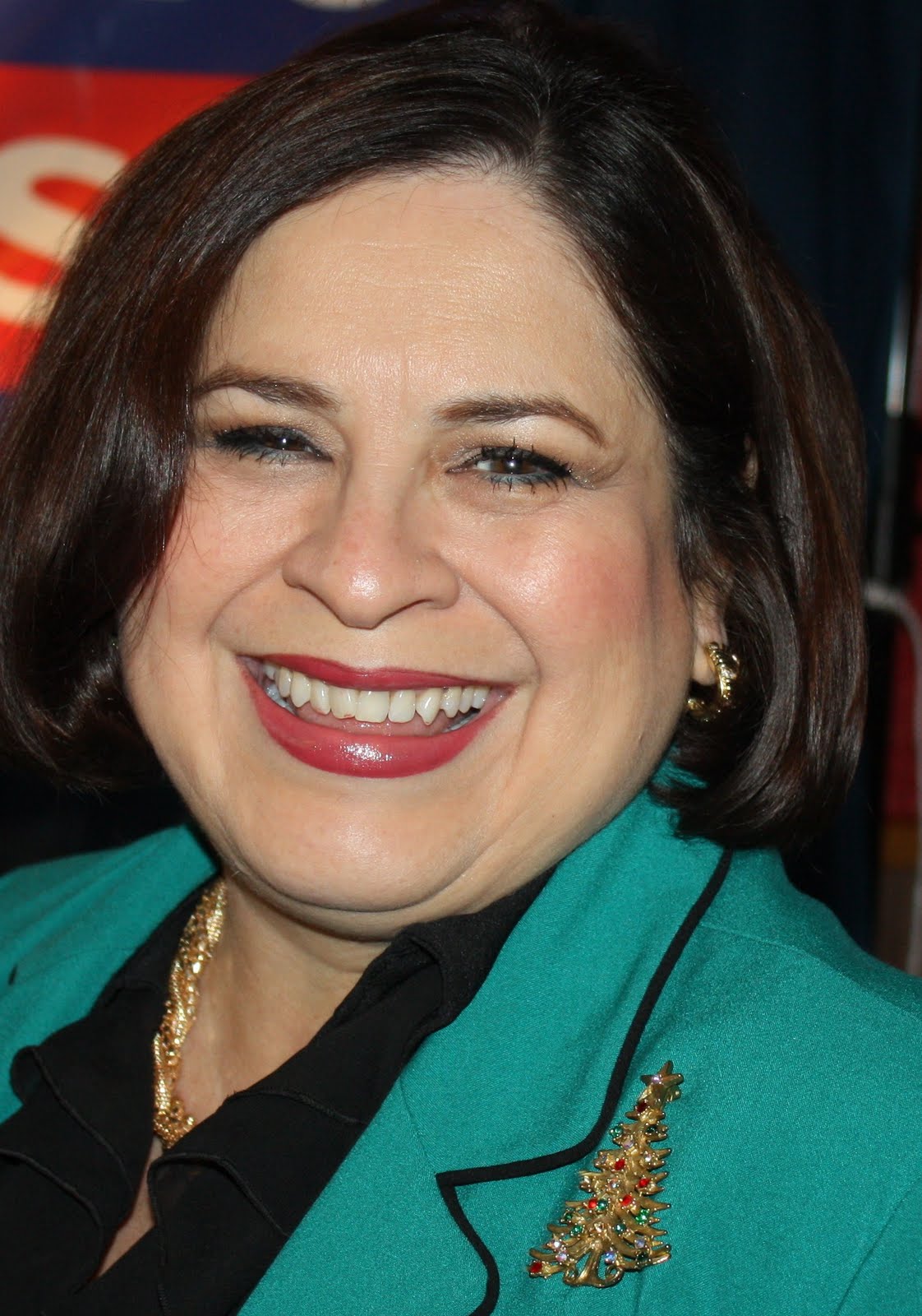 Walker Report - Shedding Light on Bexar County: Sylvia Romo files for ...