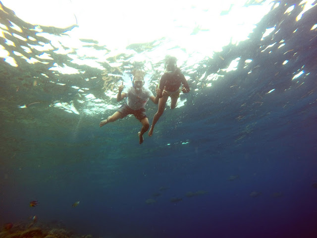 Snorkeling at Balicasag Island, Bohol