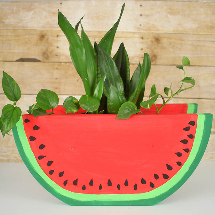 Watermelon Slice Planter DIY - Gina Michele
