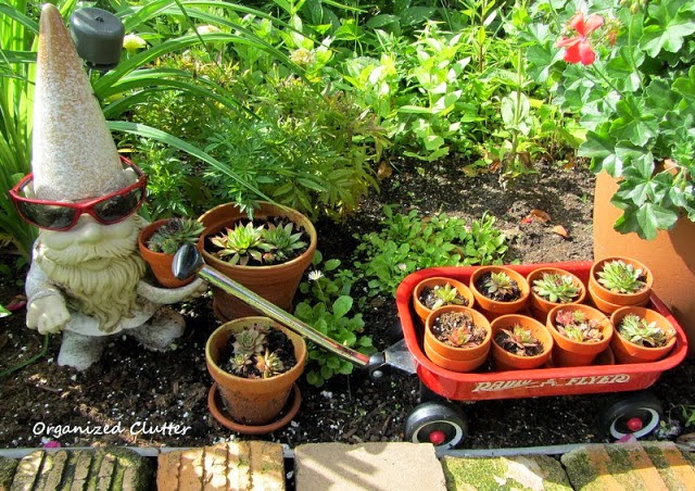 Planting in Terra Cotta Pots www.organizedclutterqueen.blogspot.com