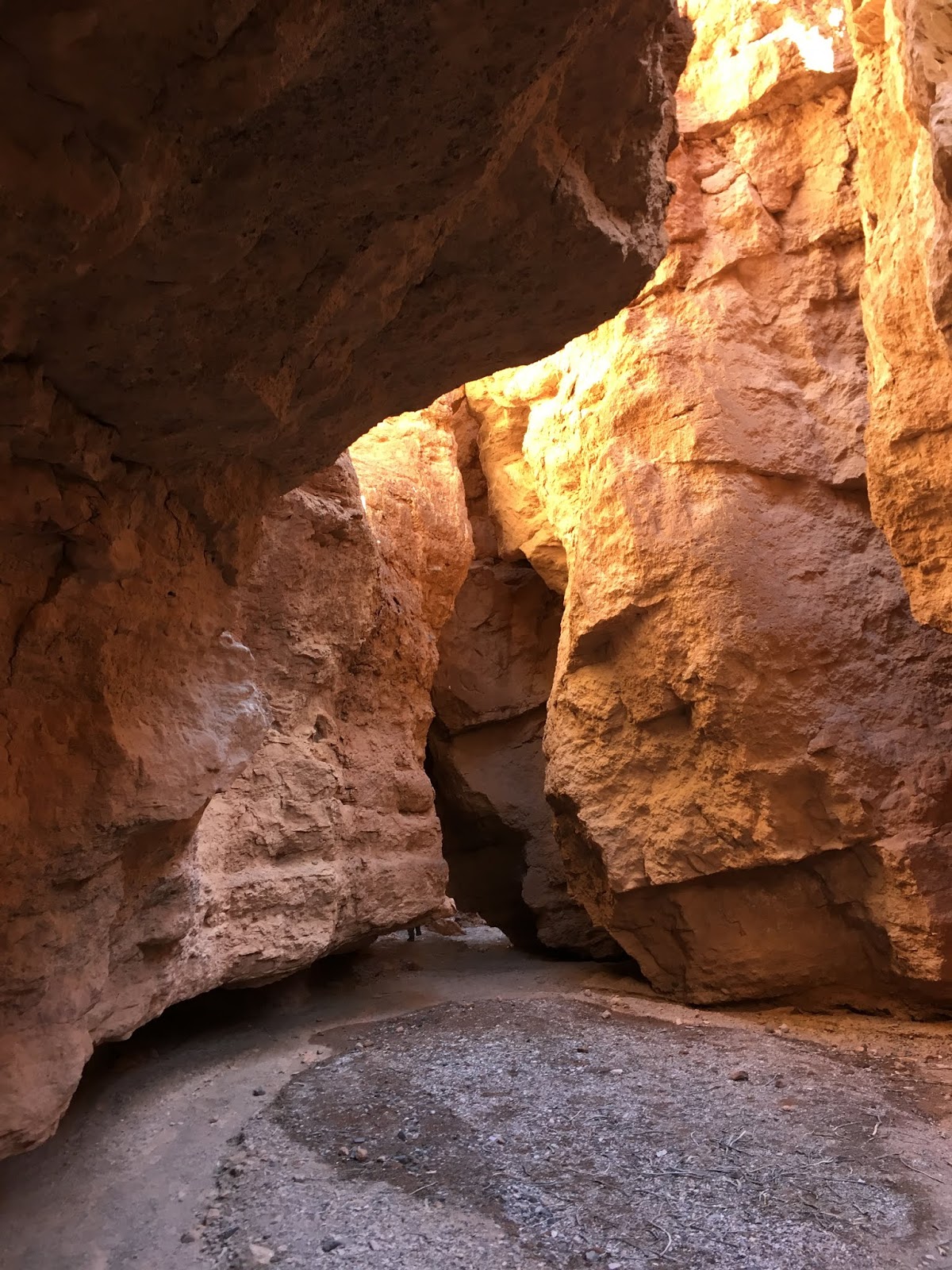 WHITE OWL CANYON. LAKE MEAD NATIONAL RECREATIONAL AREA, NEVADA ADAM