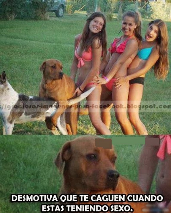 ¡Imágenes y gifs curiosas y/o graciosas! xD gifs%2Bgraciosos%2By%2Bchistosas%2B(1)