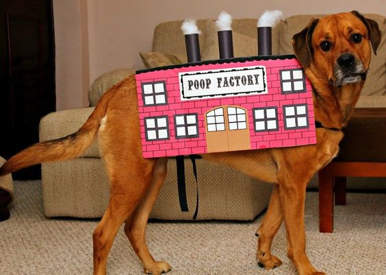 poop emoji dog costume