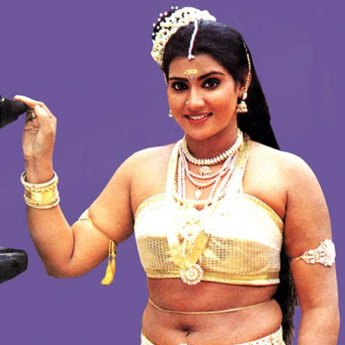 Vani Viswanath hot navel show in saree