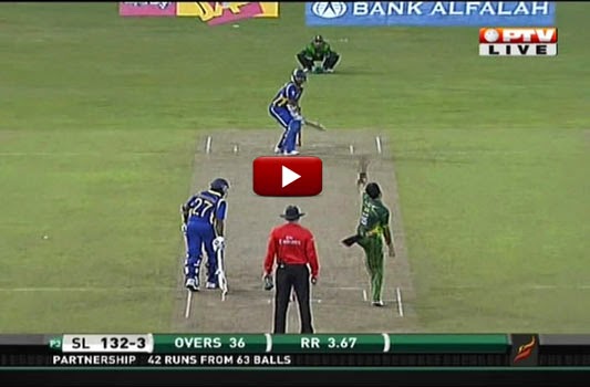 PTV Sports live Streaming Online Watch Free Channels Online