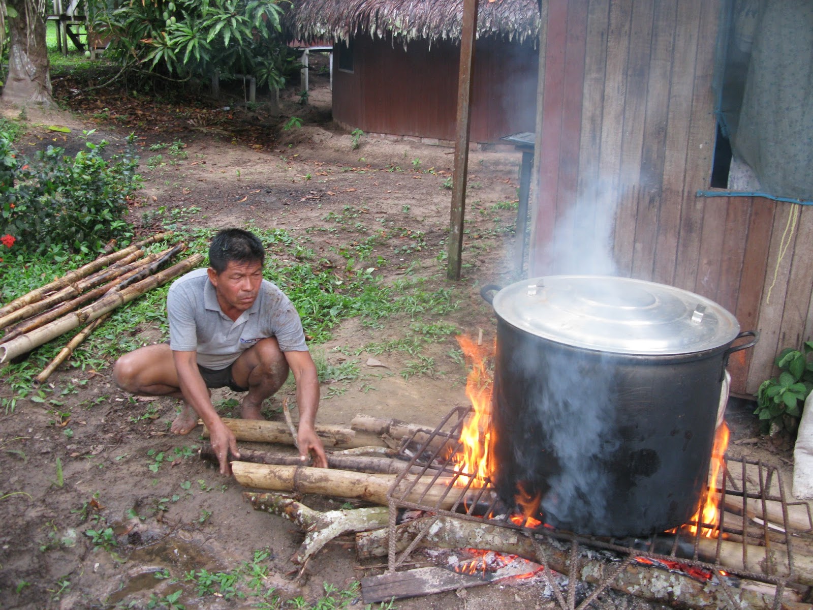 All Accordin' Tripping the Amazon! South America's Transformation Trail